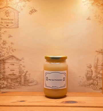 Miel de Printemps Artisanal Français 500g