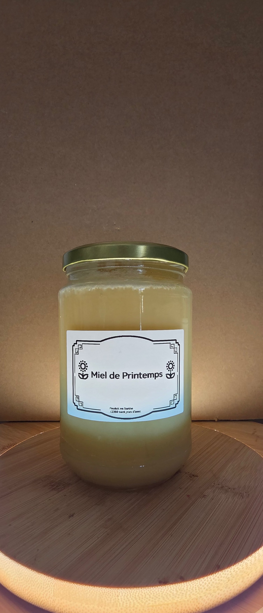 Miel de printemps 1kg