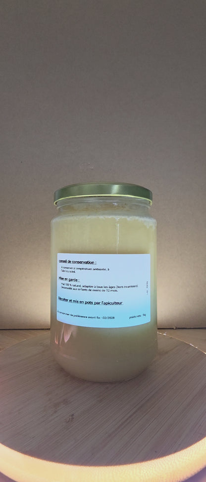 Miel de printemps 1kg