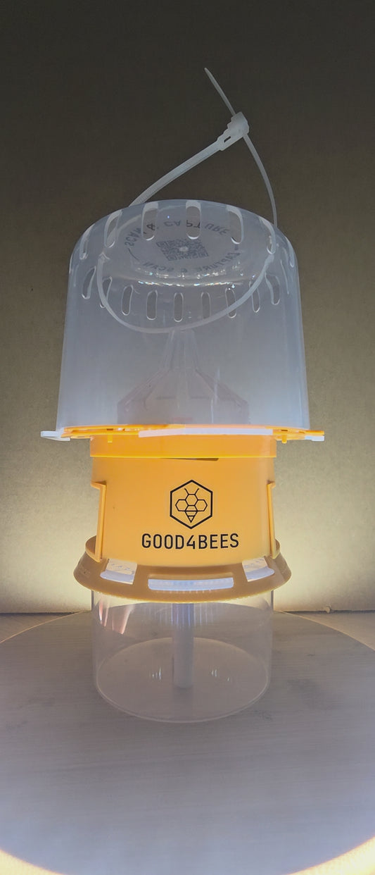 Piège à frelon Good4Bees